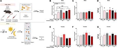 Amifostine (WR-2721) Mitigates Cognitive Injury Induced by Heavy Ion Radiation in Male Mice and Alters Behavior and Brain Connectivity